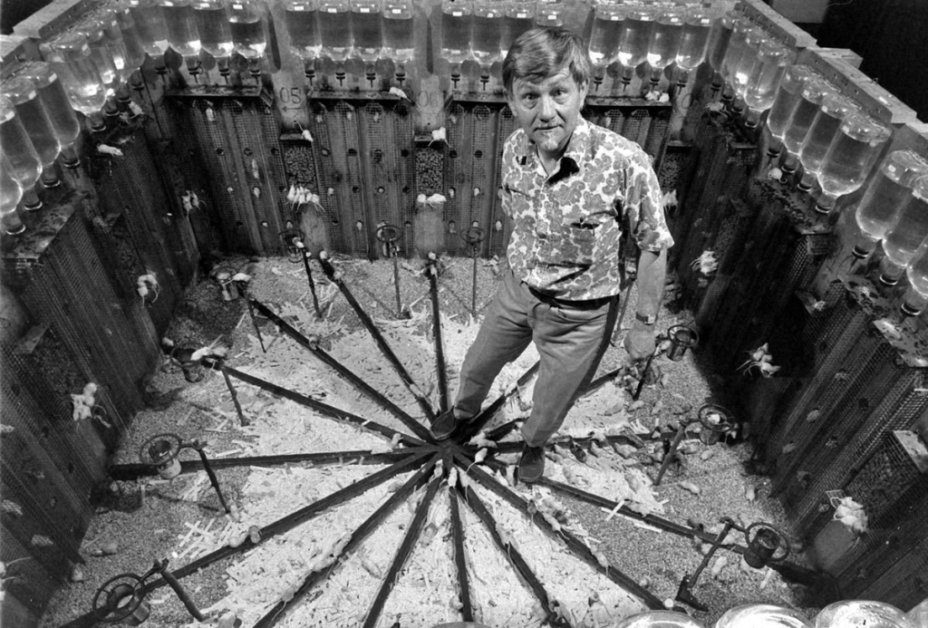 This image has an empty alt attribute; its file name is image-29-1024x693.png